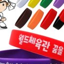 연세체능관 이미지