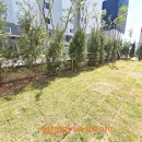 서초대로34가길52-1 이미지