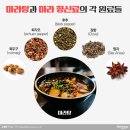 마라중독 이미지