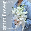 쿠담