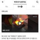 제육대가광주