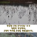 은파낚시