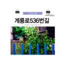계룡로536번길 이미지