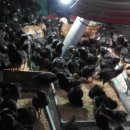 (주)충인 이미지