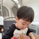 메타쉐콰이어 오토 캠핑장 이미지