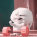 바디채널(전주평화점) | 헬린이 도전일기(IN 바디채널 전주평화점)