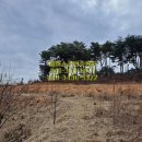 생명빛공인중개사사무소 이미지