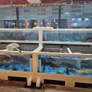 25시횟집 이미지