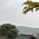경기둘레길 안성39코스 이미지
