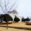 일성덤프 이미지