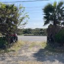 금빛 민박 이미지