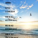 시창작&시낭송 이미지