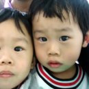 태건태권도장 Daum카페
