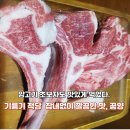 조암프라자 | [신월성 양갈비 맛집] 월성동 꿉양에서 양갈비 제대로 즐기기