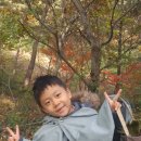 조하유치원 이미지