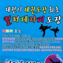 참다운태권도 이미지