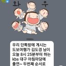 1178킬로미터 | 방을 통해. 국토대장정3회. 도보여행가 김도경님. 대구kbs아침마당출연. 본방사수. 온에어 시청 후기