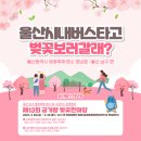 삼호중학교앞(22602) 이미지