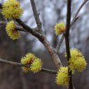 이현소류지 이미지