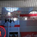 고양이다락방 이미지