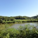 팔용당저수지 이미지