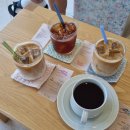 비바커피 이미지