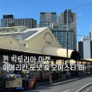 [호주 신혼여행 #8] 퀸 빅토리아 마켓 | 아메리칸 도넛 &amp; 오이스터 바 추천 후기