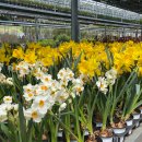 대림가든 이미지