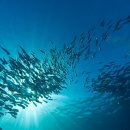 탄소중립 기후노트 이미지