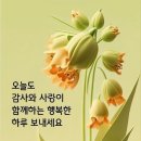 대한민국의 탄생 비화 이미지