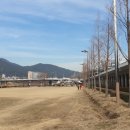 수영강 동천교 이미지