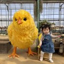 나눔농장 이미지