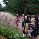 호수와바다 이미지