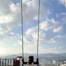 대관령 순수양떼목장 찐 추천 후기 28개월 아기랑 - 양,알파카,염소 먹이주기 체험