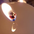 경기도 수원시 팔달구 세지로399번길 이미지