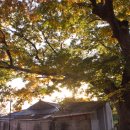 이서보건지소 이미지