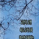 금맥을캐다 이미지