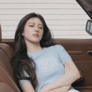 청춘 P.T 이미지