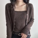 단델리온 이미지