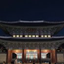 2024 경복궁 야간개장 후기