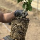 해찬농장 이미지