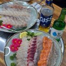 20250417~20250502 일상