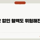 B12 이미지