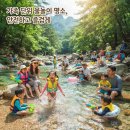 백운힐링밸리 | 와, 2026 여름엔 여기만 간다"...포천 백운계곡 선녀탕, 인기 폭발하는 이유가 뭘까?
