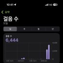 나도 산티아고 순례길 걸어볼까!