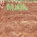 세빈농장 이미지