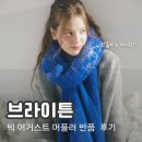 코발트블루 | 브라이튼 머플러 | 빅 어거스트 코발트블루 머플러, 털날림 반품 후기