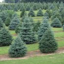 사례농장 이미지