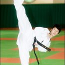 손태진 태권도장 이미지