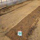 충전하우스 이미지